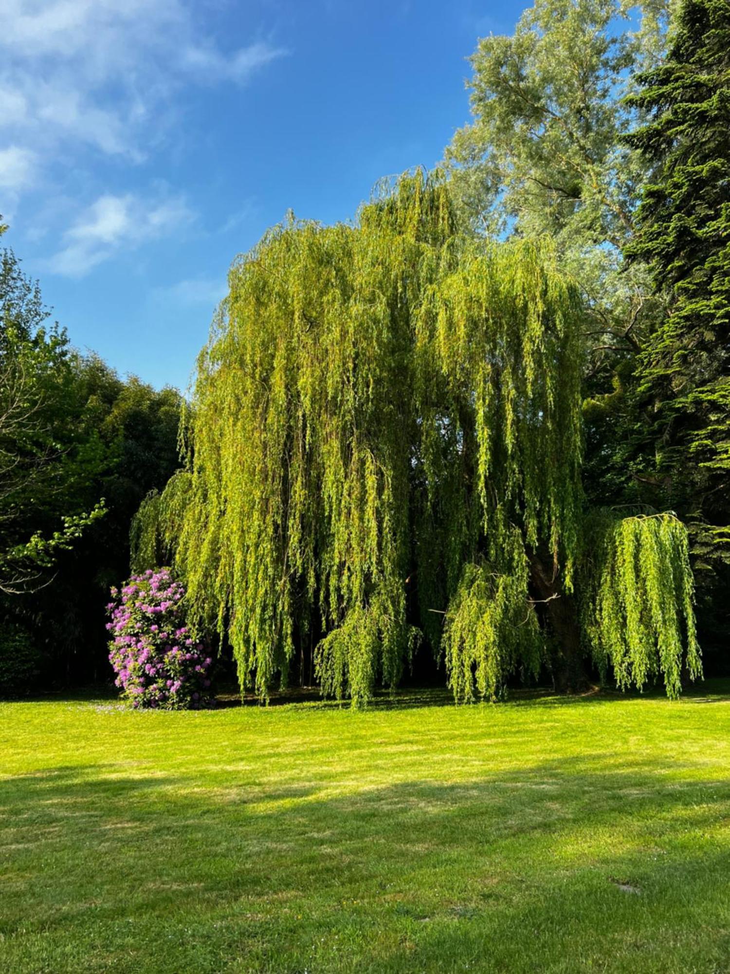 Le Clos De Lily Coudray-Rabut Exterior foto